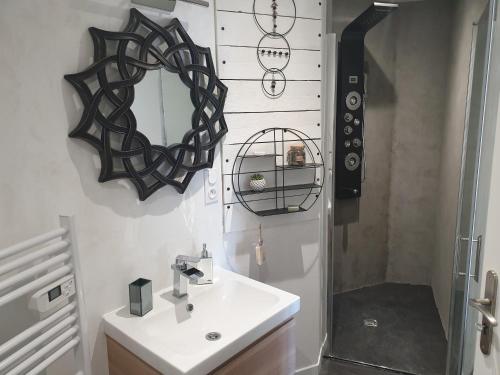 uma casa de banho com um lavatório, um espelho e um chuveiro em Tour de Lacuzon em Dole