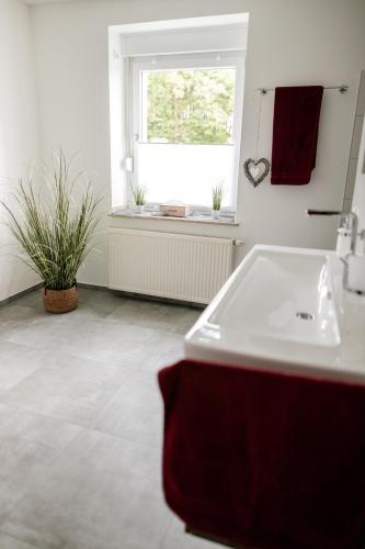 a bathroom with a white sink and a window at Ferienwohnungen Finkengrund in Büren