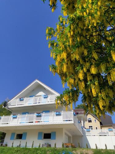 Apt FIONA4 Centrum700m Parking Bezpłatny Monitorowany Salon z Sypialnią Tv Łazienka Kuchnia Rekuperacja