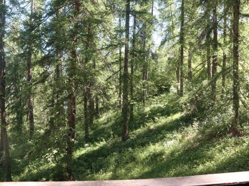 Studio calme en forêt, proche télésiège et commerces - FR-1-322-289