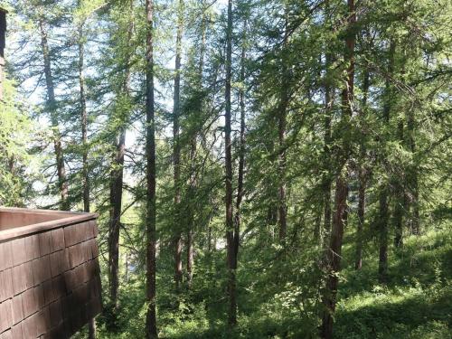 Studio calme en forêt, proche télésiège et commerces - FR-1-322-289