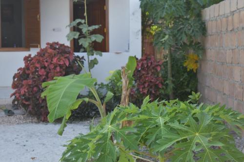 Giardino di New Arisen Bungalows