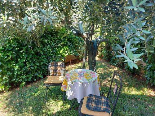 Appartamento Alida – Photos 5