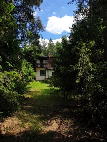 a house in the middle of a yard with trees at Leśne zacisze - dom z kominkiem i balią in Jordanów