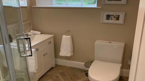 La petite salle de bains est pourvue de toilettes et d'un lavabo. dans l'établissement Oulton Park Lodge, à Little Budworth
