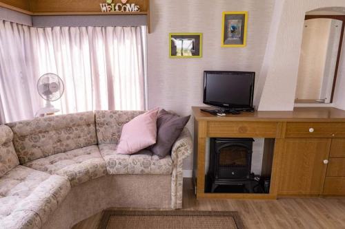 a living room with a couch and a tv and a fireplace at Uroczysko Warta in Uniejow