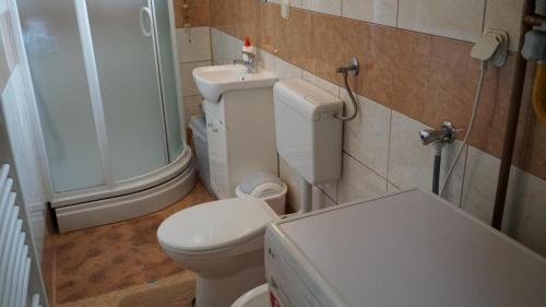 a bathroom with a toilet and a shower and a sink at Hedgehog's Home - Ježeva kućica Free Parking in Sarajevo