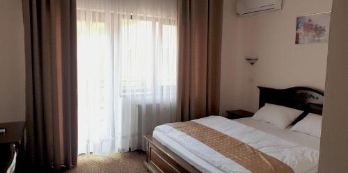 a bedroom with a bed and a large window at Vila Tisa in Tismana