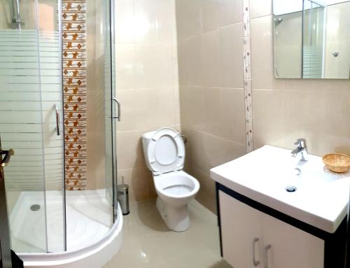 a bathroom with a toilet and a sink and a shower at Vila Tisa in Tismana