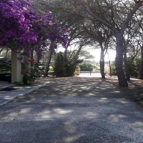 Casa Giovanni – Photos 3