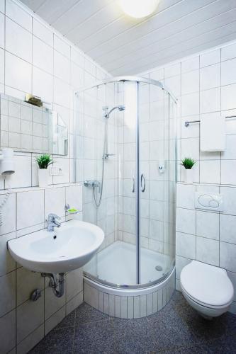 a bathroom with a shower and a sink and a toilet at Landhotel Lembergblick in Feilbingert