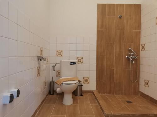 a bathroom with a toilet and a shower at Villa al Tempio in Pazardzhik