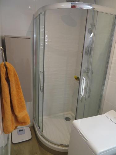 a shower with a glass door in a bathroom at Superbe Rez de Jardin dans résidence au calme in Nice