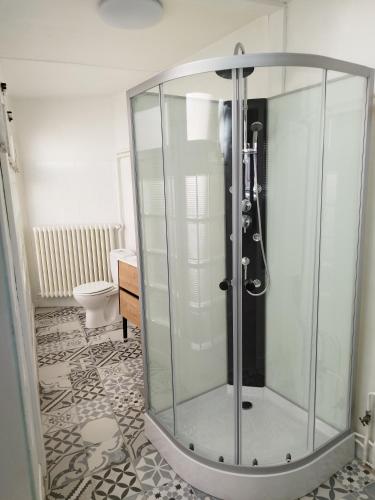 La salle de bains est pourvue d'une douche en verre et de toilettes. dans l'établissement Chaleureuse maison de ville à côté de la mairie ronde, à Ambert