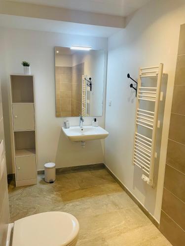 une salle de bain avec un lavabo et un miroir dans l'établissement Opale Sarlat Plein Sud, à Sarlat-la-Canéda