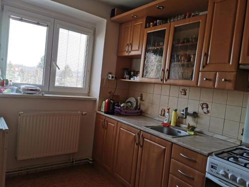 Virtuvė arba virtuvėlė apgyvendinimo įstaigoje Pokoj s vyhledem na Radhost