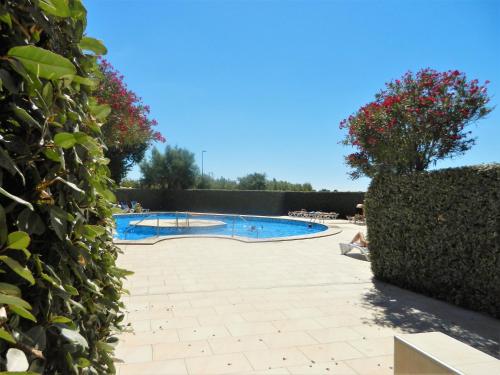 - une piscine dans une cour avec une haie dans l'établissement LES REFLETS F5, à Saint-Cyprien