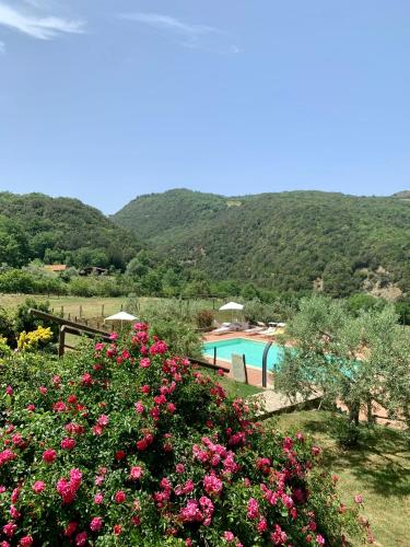 a garden with flowers and a swimming pool at Podere le Mulina in Castiglione dʼOrcia