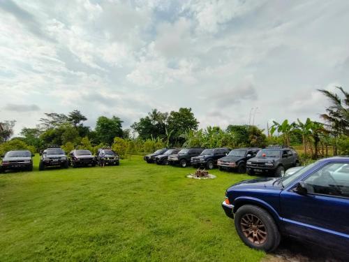 eine Reihe geparkter Autos auf einem Feld in der Unterkunft Glamping Alas Duren Yogyakarta in Beran-kidul