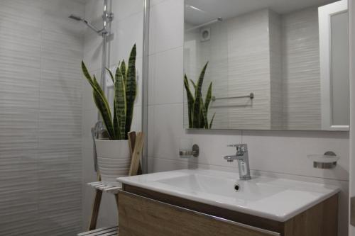 Koupelna v ubytování Flor De Cactus
