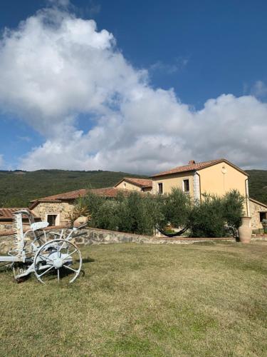 a bench in the grass in front of a house at Podere le Mulina in Castiglione dʼOrcia