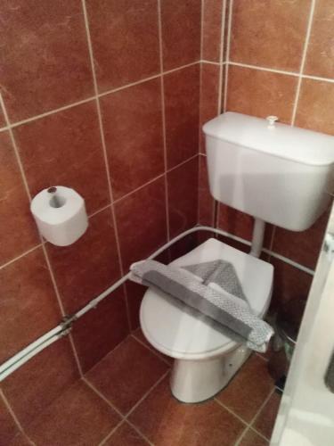 a bathroom with a toilet and a roll of toilet paper at Ολόκληρο σπίτι in Raches