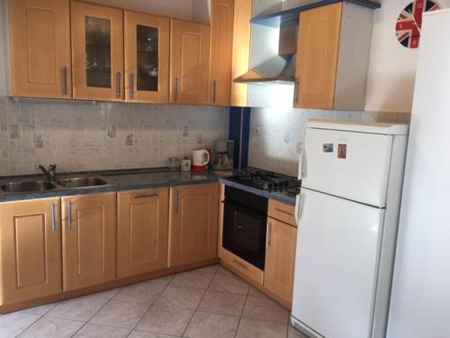 Kuchyň nebo kuchyňský kout v ubytování Apartment Nela