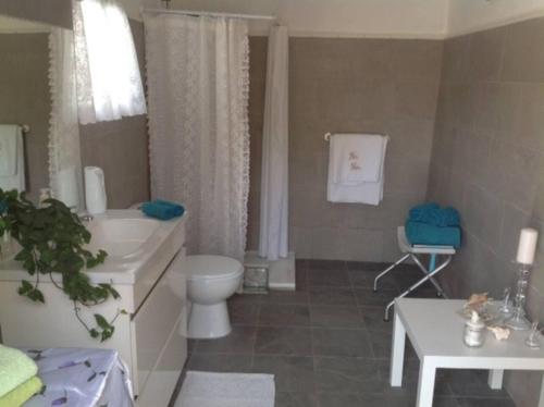 y baño con aseo blanco y lavamanos. en Traditional Spanish cave house in Alguena, en Algueña