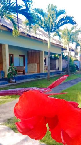a red flower sitting in front of a house at Mengalung Bungalow in Kuta Lombok