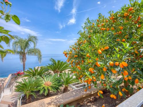 an orange tree with oranges on it next to the ocean at Hotel Antares in Letojanni