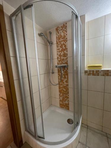 a shower with a glass enclosure in a bathroom at Ferienwohnung Keil in Bad Schandau