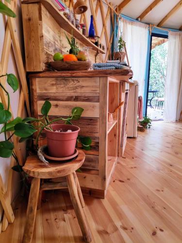 a room with a table and a plant on a stool at Love Frequency - יורט קסום במתת in Mattat
