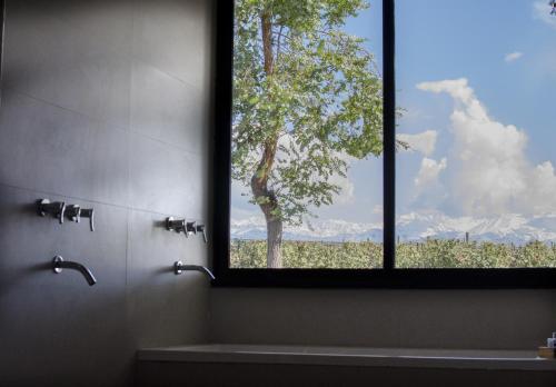 a bathroom with a window with a view of a tree at Casa de Huéspedes La Azul in Los Árboles