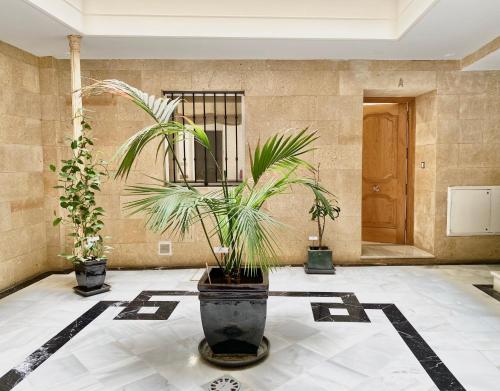 a lobby with two potted plants on the floor at San Francisco 15 in Cádiz