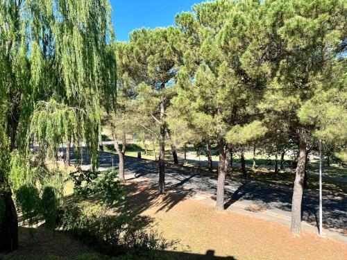 a group of trees in a park at Hotel Marvin in Montepulciano