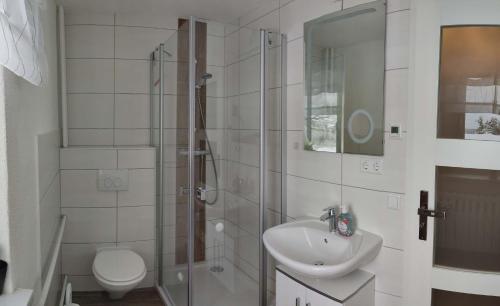 y baño con ducha, lavabo y aseo. en Ferienwohnung Zum Ausblick en Kurort Altenberg