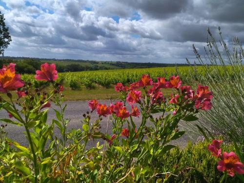 a field of flowers in front of a road at Les Chemins d'Ambre et Thaïs in La Regrippière