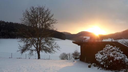 a sun setting over a snow covered field with a tree at Ferienwohnung Eichkatzel in Zell