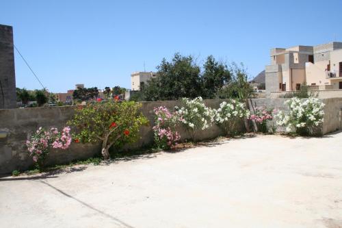a retaining wall with pink and white flowers at Angolo del Mare - Case Libeccio e Blu Marino in Favignana