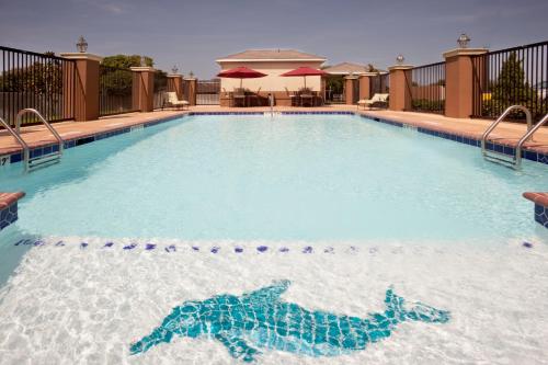a swimming pool with a turtle in the water at Candlewood Victoria by IHG in Victoria