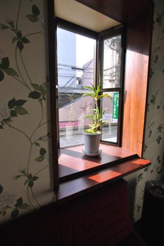 a potted plant sitting on a window sill at Futsukaichi Green Hotel in Chikushino