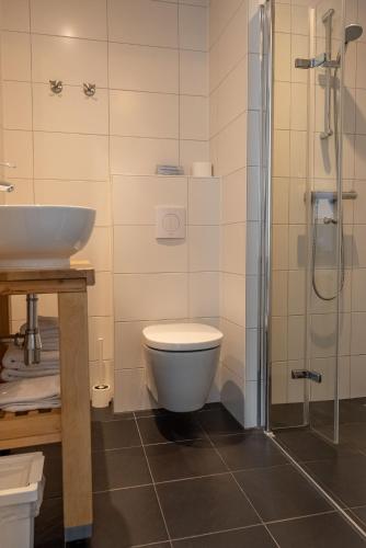 a bathroom with a toilet and a sink and a shower at Hotelletje de Veerman in Oost-Vlieland