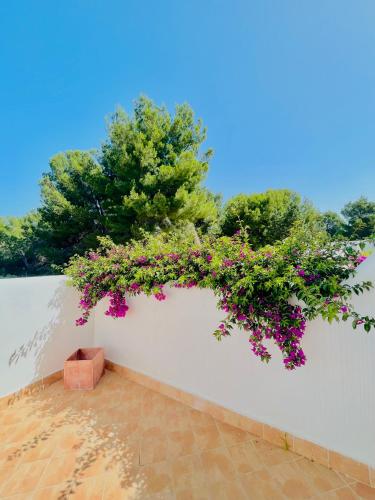 Booking.com: Vakantiehuis Estilo ibicenco en todo , San Jose ...