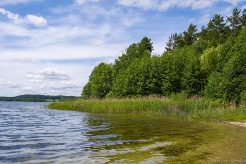 a body of water with trees and grass at Kaszubska Odskocznia Ostoja Bukowo in Borowy Młyn