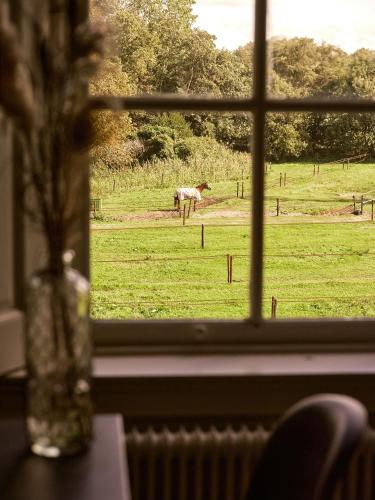 a view of a horse in a field from a window at Eco Hotel Plantage Rococo in Velsen-Zuid
