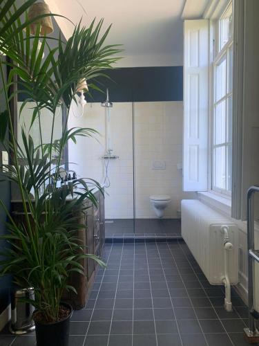 a bathroom with a shower and a toilet and a plant at Eco Hotel Plantage Rococo in Velsen-Zuid