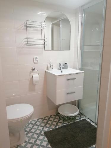 a bathroom with a sink and a toilet and a mirror at DOMEK POD SOSNAMI in Krasnobród