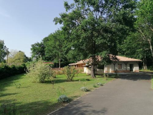 une maison avec un arbre à côté d'une allée dans l'établissement Magnifique villa avec piscine, à Sainte-Eulalie-en-Born