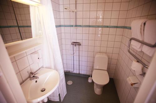 La salle de bains est pourvue d'un lavabo, de toilettes et d'une douche. dans l'établissement Nyhyttans Kurort, à Nora