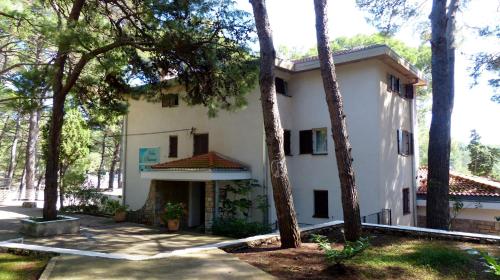 Diana B&B
